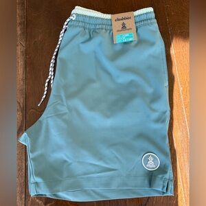 Men’s Chubbies Swim Shorts